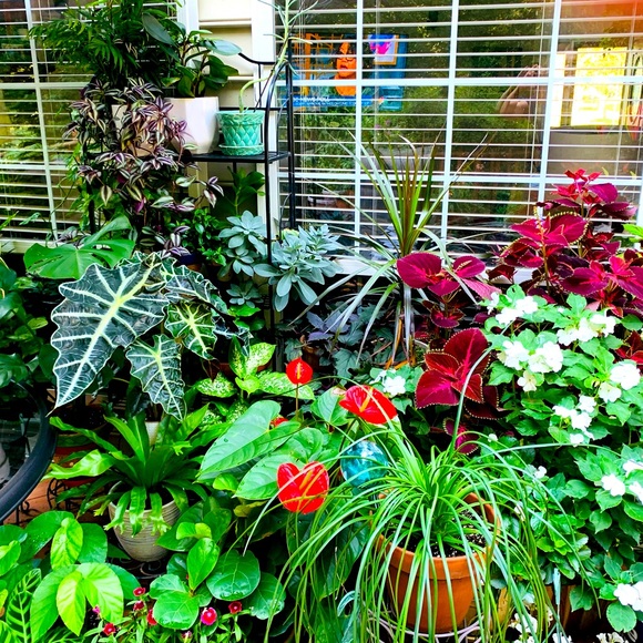 Meet your Posher, Nancy - Picture 7 of 8